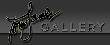 Tom James Gallery